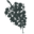 The Living Vine Icon