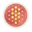 Moonsight Planner Icon