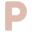 PAUME US Icon