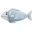 Floppy Fishy Icon