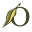 Olivella Icon