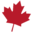 Sarm Canada Icon