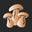 Wisdom Superfood Icon