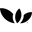 SkinTe Icon