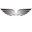 Flying Graphics Icon