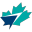 FlySwoop Icon