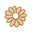 Fifth Daisy Icon