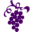 Vinology Icon