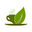 The Wellness Tea Icon