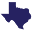 The Teaching Texan Icon