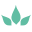 The CBD Company Icon