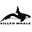 Killer Whale Icon