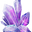 Crystals Icon