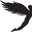 Fly Sports Icon