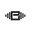 BuzzPhysique Icon