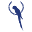 Blue Brid Shoes Icon