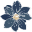 Triumphantlearning Icon