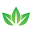 TriVita Icon