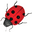 Ladybird Plantcare Icon
