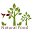 Natural Food Shop Icon