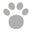 Pooch Icon