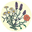 OrcaSong Farm Icon