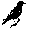 J. Crow's Icon