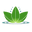 Homecosty Icon