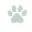 Paws In Touch Icon