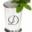 Mint Julep Monograms Icon