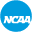 Ncaa Icon