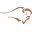 Northstar Bison Icon