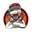 Pyro Drone Icon