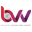 BVV Icon
