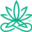 Cannovia CBD Icon