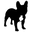 FixYou Firenze Icon