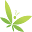 Cannabico Icon