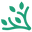 Regala Un Albero Icon