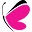 Social Butterfly Couture Icon
