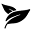 Green Eco Beauty Icon