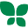 Amuse Icon