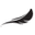 Imprimis Brand Icon