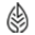 Calgary Soap Icon