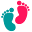 Nayliss Icon