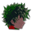 Izuku Shop Icon