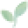 Eva Naturals Icon