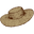 Chapeau-de-paille.fr Icon