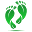 SmartFeet Icon