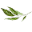 Me Time Botanicals Icon
