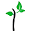 Vitaluma Icon